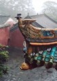 /album/fotogalerie-cina/fenix-jpg/